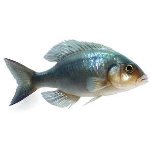 Realistic Fish Transparent Png Cwa58 PNG Image