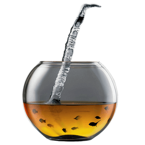 Realistic Fishbowl PNG 31 PNG