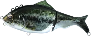 Realistic Fishing Lure Carp Design PNG Image