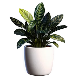 Realistic Floor Plant Png Bfl PNG Image