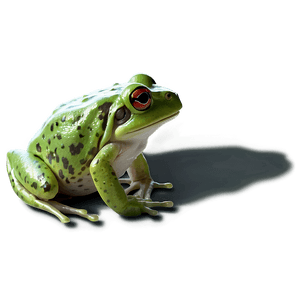 Realistic Frog PNG 94 PNG
