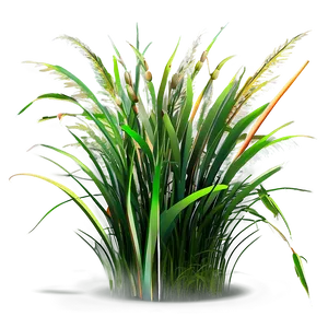 Realistic Grass Clipart Png Ufd63 PNG Image