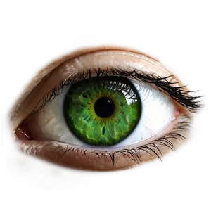 Realistic Green Eye Drawing Png Wty PNG Image