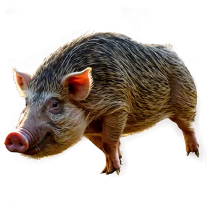 Realistic Hog Png 76 PNG Image