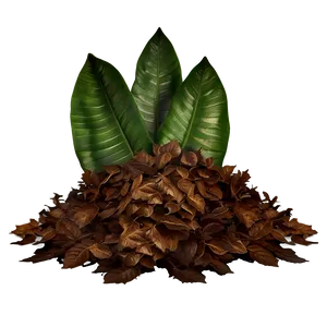 Realistic Leaf Pile Png Llv84 PNG Image