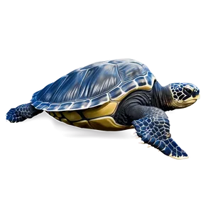 Realistic Leatherback Turtle Illustration Png Num PNG Image