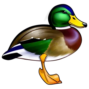 Realistic Mallard Duck Png 28 PNG Image