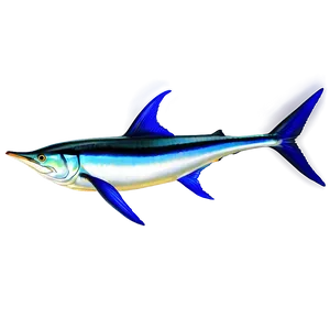 Realistic Marlin Drawing Png Uap71 PNG Image