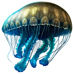 Realistic Moon Jellyfish Design Png Cmk PNG Image