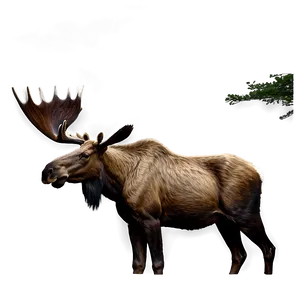 Realistic Moose Drawing Png 32 PNG Image