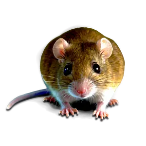 Realistic Mouse Png 46 PNG Image