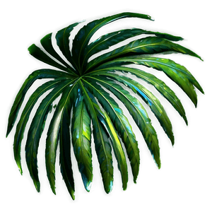 Realistic Palm Leaves PNG 05252024 PNG image with transparent background