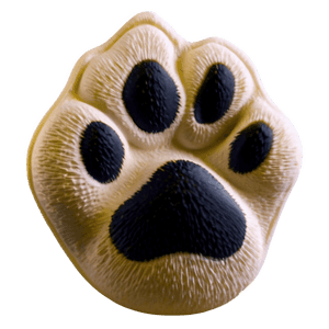 Realistic Paw Print PNG csu PNG image with transparent background