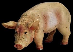 Realistic Pig Figurineon Black Background PNG image with transparent background