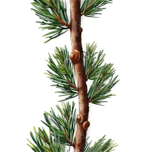 Realistic Pine Branch Png 87 PNG Image