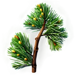 Realistic Pine Branch Png Mfq PNG Image