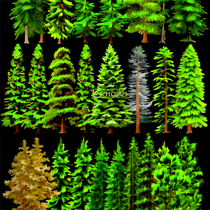 Realistic Pine Trees PNG 05252024 PNG