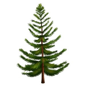Realistic Pine Trees PNG 29 PNG