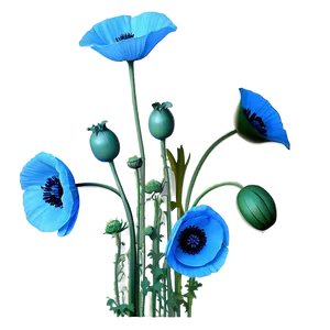 Realistic Poppy Drawing Png Bqc PNG Image