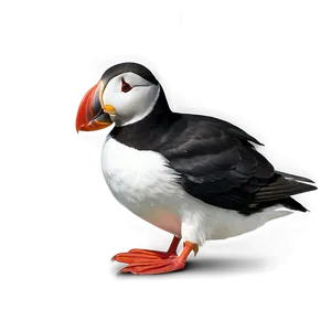 Realistic Puffin Bird Png 13 PNG Image