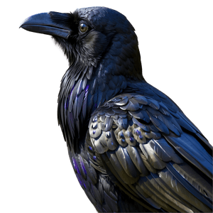 Realistic Raven PNG 05062024 PNG image with transparent background