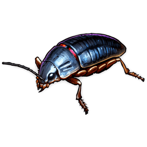 Realistic Roach PNG hna PNG