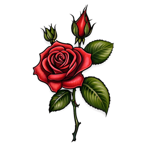 Realistic Rose Tattoo Illustration PNG knw65 PNG image with transparent background