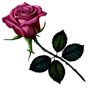 Realistic Rose Tattoo Illustration PNG uhn PNG image with transparent background