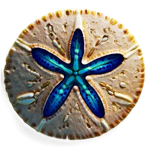 Realistic Sand Dollar Png Cya PNG Image