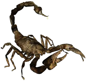 Realistic Scorpion Illustration PNG Image