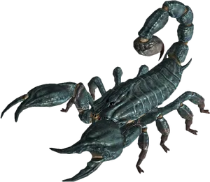 Realistic Scorpion Model PNG Image