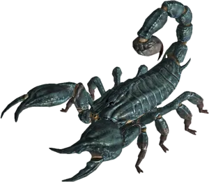 Realistic Scorpion Model PNG Image