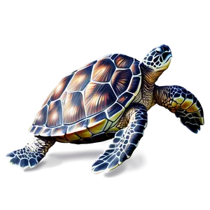 Realistic Sea Turtle Illustration Png Kfo PNG Image