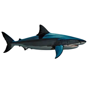 Realistic Shark Fin Png Kwh46 PNG Image