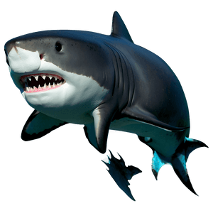 Realistic Shark Image PNG 05032024 PNG image with transparent background