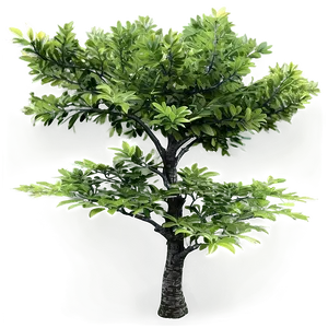 Realistic Small Tree Png 06132024 PNG Image