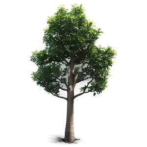 Realistic Small Tree Png Gbv88 PNG Image