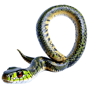 Realistic Snake PNG psc PNG image with transparent background