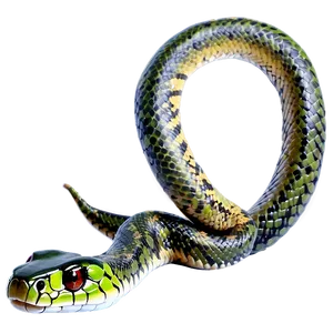 Realistic Snake Png Psc PNG Image