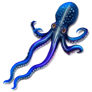 Realistic Squid Art PNG 86 PNG