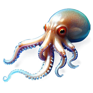 Realistic Squid Art PNG yfa13 PNG
