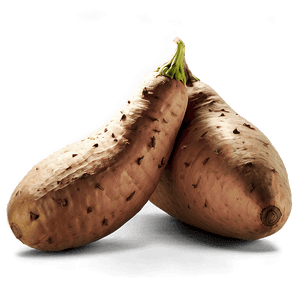 Realistic Sweet Potato PNG 6 PNG with transparent background