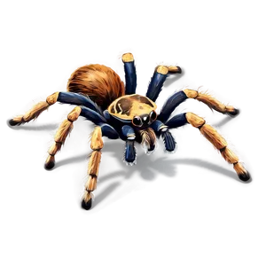 Realistic Tarantula Illustration Png 41 PNG Image