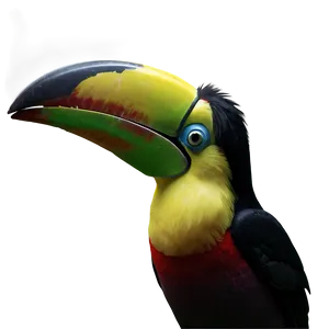 Realistic Toucan Image Png 9 PNG Image