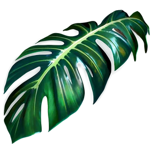 Realistic Tropical Leaf Graphic Png 81 PNG Image