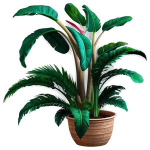 Realistic Tropical Plant Png Qgd PNG Image