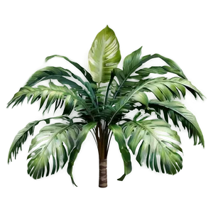 Realistic Tropical Plants Png Gjt PNG Image