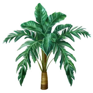 Realistic Tropical Plants Png Sin PNG Image