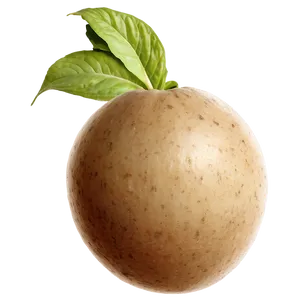 Realistic Tuber Image Png 05252024 PNG Image