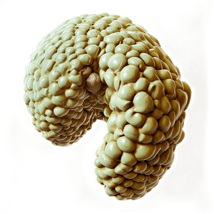 Realistic Vomit Texture PNG 98 PNG image with transparent background